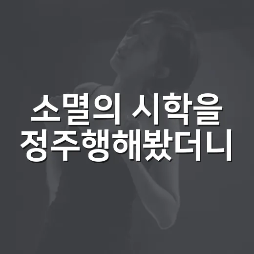 소멸의 시학을 정주행해봤더니, 삭는 미술이 오래 남았다 - 요약