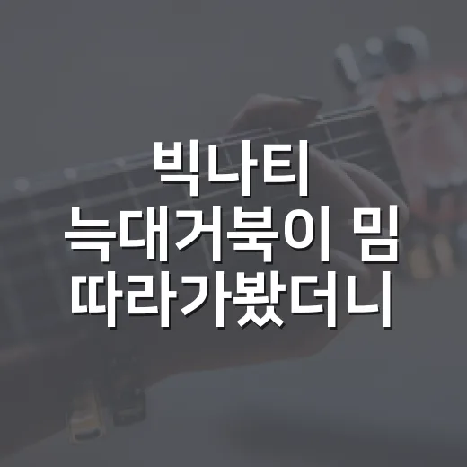 빅나티 늑대거북이 밈 따라가봤더니 힙합 디스전이 예능보다 더 시끄러웠다 - 요약
