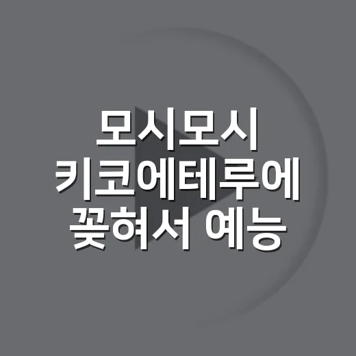 모시모시 키코에테루에 꽂혀서 예능 클립까지 다시 보게 된 후기 - 요약