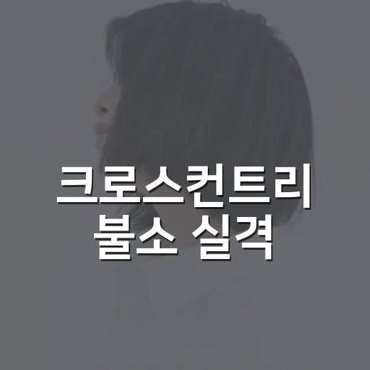 韓 크로스컨트리 불소 실격 논란, 스포츠 다큐 보듯 따라가봤더니 - 요약