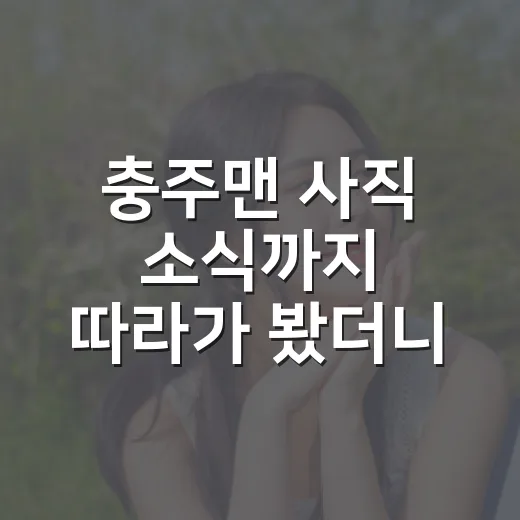 충주맨 사직 소식까지 따라가 봤더니, 연봉 3배보다 더 큰 캐릭터의 무게가 보였다 - 요약