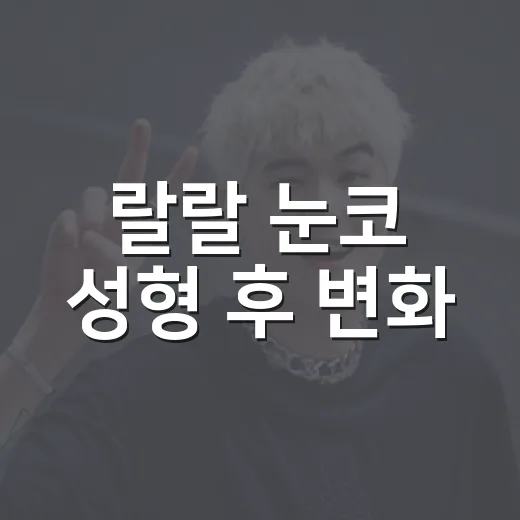 랄랄 눈코 성형 후 변화, 영상으로 따라가봤더니 인상이 이렇게 달라졌다 - 요약