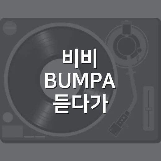 비비 BUMPA 듣다가 bumpa 뜻 찾아봤더니 노래 분위기가 다르게 들렸다 - 요약
