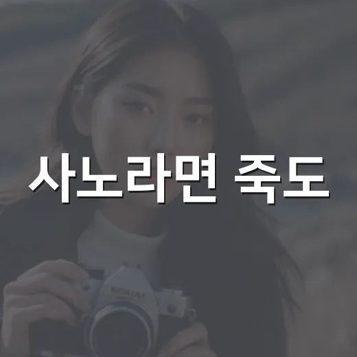 사노라면 죽도: 현실과 판타지의 경계에서 - 요약