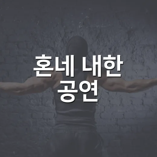 혼네 내한 공연, 직접 다녀와서 느낀 진짜 이야기 - 요약