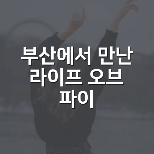 부산에서 만난 '라이프 오브 파이', 그 특별한 경험 - 요약