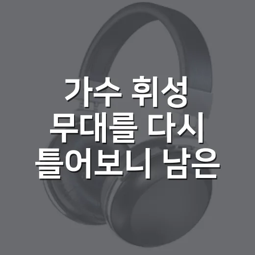 가수 휘성 무대를 다시 틀어보니 남은 장면들 - 요약