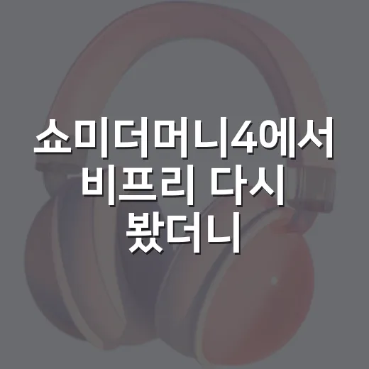 쇼미더머니4에서 비프리 다시 봤더니 - 요약