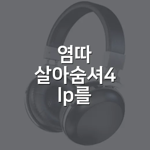 염따 살아숨셔4 lp를 찾아보다가 앨범을 다시 들었다 - 요약