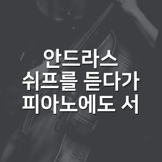 안드라스 쉬프를 듣다가 피아노에도 서사가 있다는 걸 알았다 - 요약