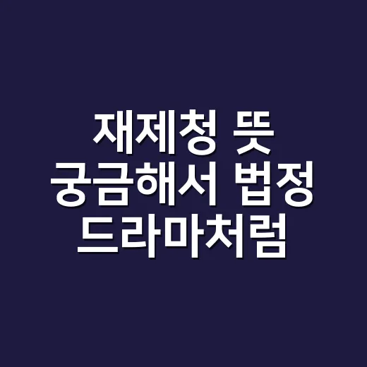 재제청 뜻 궁금해서 법정 드라마처럼 읽어봤다 - 요약