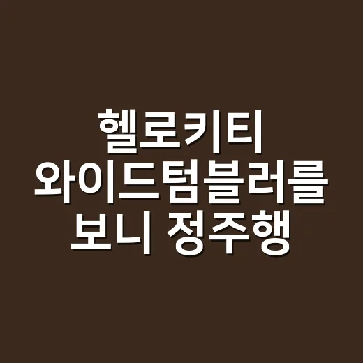 헬로키티 와이드텀블러를 보니 정주행 간식통이 떠올랐다 - 요약