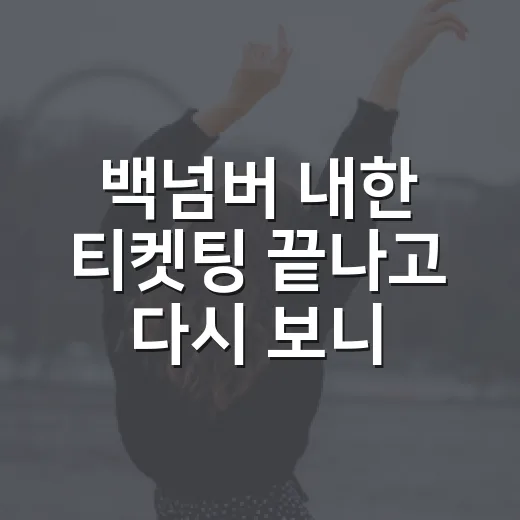 백넘버 내한 티켓팅 끝나고 다시 보니 놓친 게 있었다 - 요약