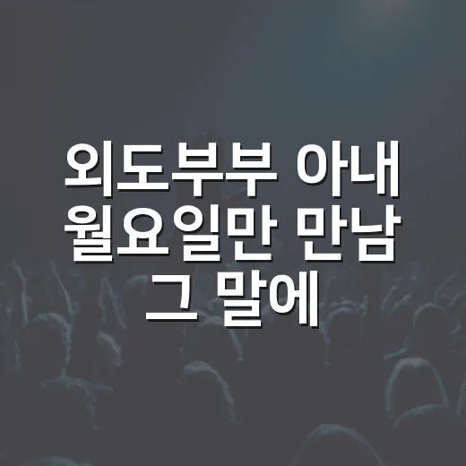 외도부부 아내 월요일만 만남 그 말에 멈칫했다 - 요약
