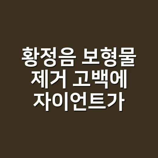 황정음 보형물 제거 고백에 자이언트가 다시 떠올랐다 - 요약