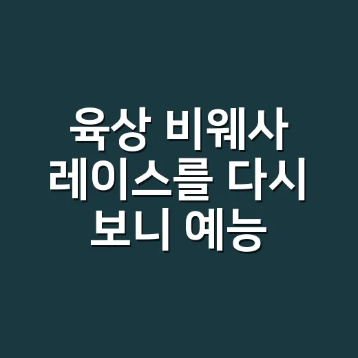 육상 비웨사 레이스를 다시 보니 예능도 달리 보였다 - 요약