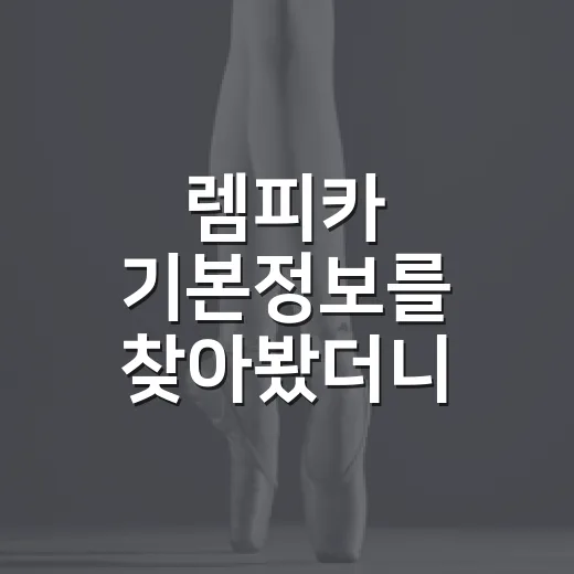 렘피카 기본정보를 찾아봤더니 그림보다 사람이 궁금해졌다 - 요약