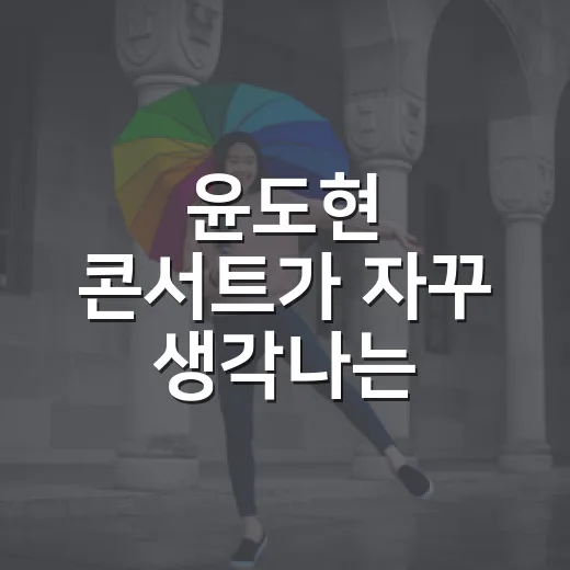 윤도현 콘서트가 자꾸 생각나는 이유를 곱씹어봤다 - 요약