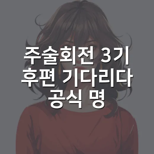 주술회전 3기 후편 기다리다 공식 명칭을 다시 봤다 - 요약