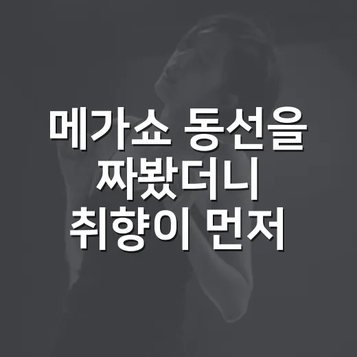 메가쇼 동선을 짜봤더니 취향이 먼저 보였다 - 요약