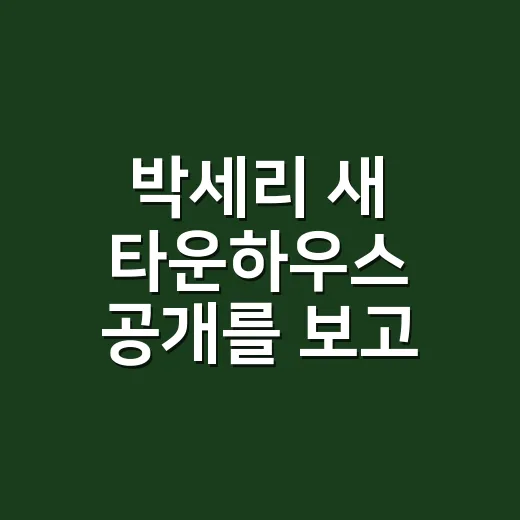박세리 새 타운하우스 공개를 보고 집들이가 더 궁금해졌다 - 요약