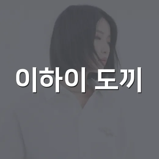 이하이 도끼, 열애 사실 인정에 무한도전 무대가 다시 보였다 - 요약