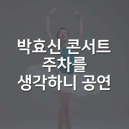 박효신 콘서트 주차를 생각하니 공연 전부터 마음이 급해졌다 - 요약