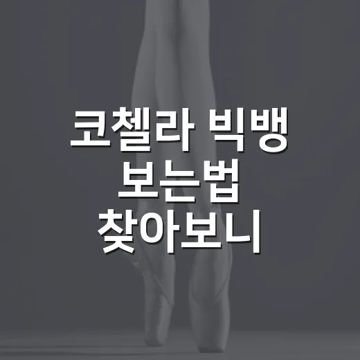코첼라 빅뱅 보는법 찾아보니 지금은 여기부터 - 요약