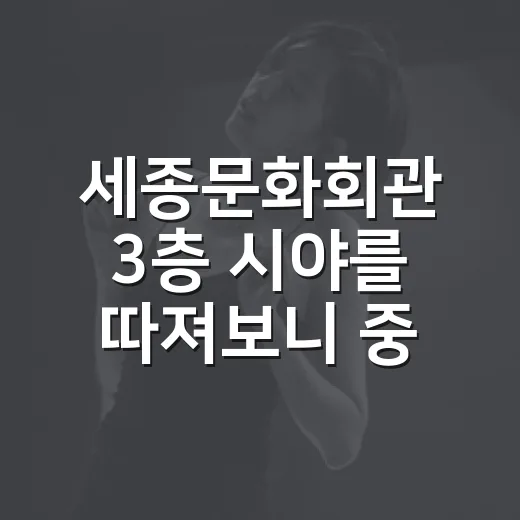 세종문화회관 3층 시야를 따져보니 중앙이 끌렸다 - 요약