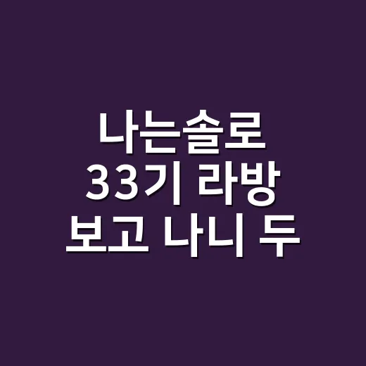 나는솔로 33기 라방 보고 나니 두 커플이 달리 보였다 - 요약