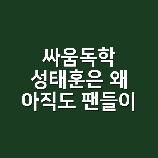 싸움독학 성태훈은 왜 아직도 팬들이 찾고 있을까요? - 요약