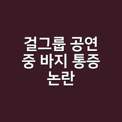 걸그룹 공연 중 바지 통증 논란, 진짜 문제는 의상일까요? - 요약