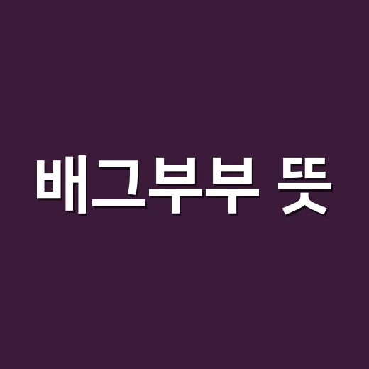 배그부부 뜻, 진짜 부부라는 말일까요? - 요약
