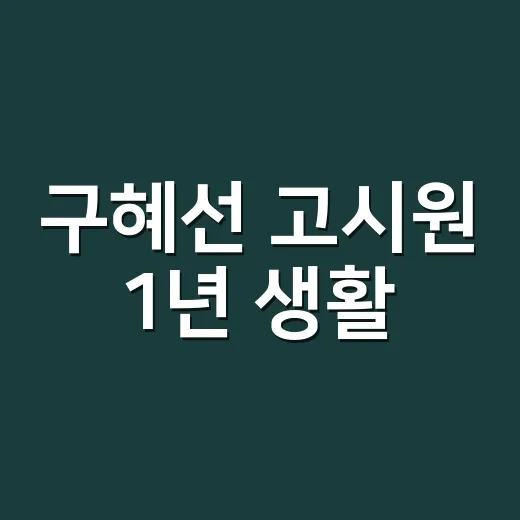 구혜선 고시원 1년 생활, 허언증 논란 해명이 왜 다시 화제일까요? - 요약