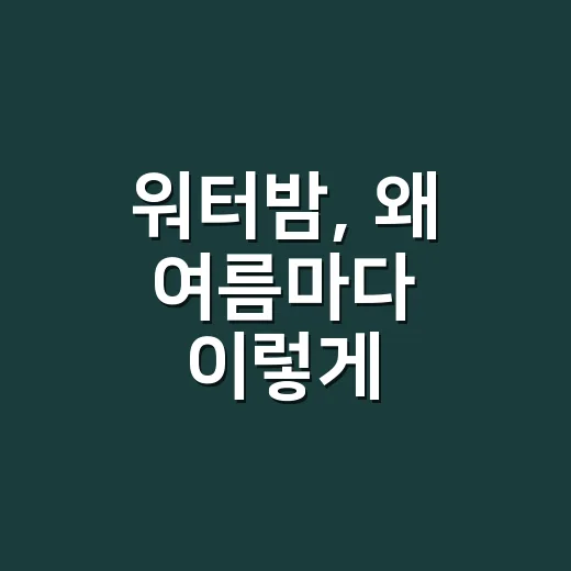 워터밤, 왜 여름마다 이렇게 난리일까요? - 요약