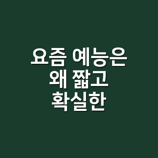 요즘 예능은 왜 ‘짧고 확실한 캐릭터’가 더 잘 먹힐까요? - 요약
