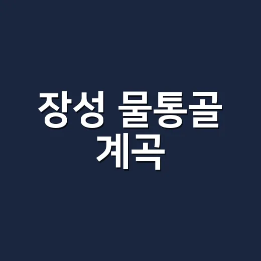 장성 물통골 계곡, 올여름 물놀이 스팟으로 왜 다시 뜨고 있나요? - 요약