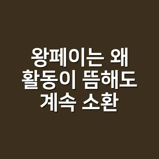 왕페이는 왜 활동이 뜸해도 계속 소환될까요? - 요약