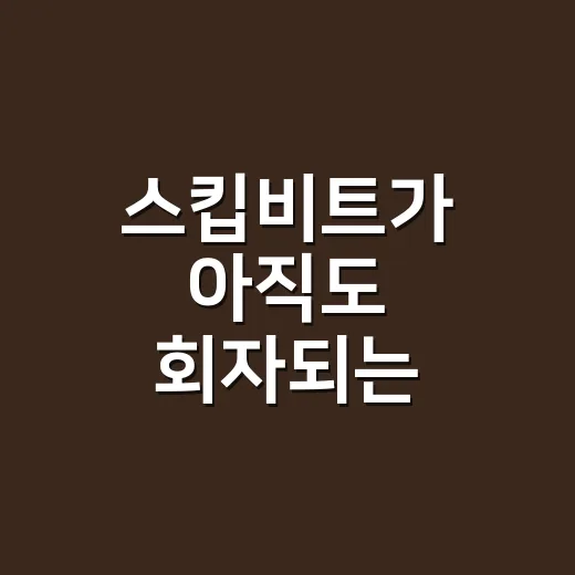 스킵비트가 아직도 회자되는 이유가 궁금하신가요? - 요약