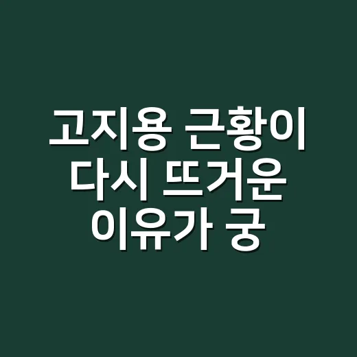 고지용 근황이 다시 뜨거운 이유가 궁금하신가요? - 요약