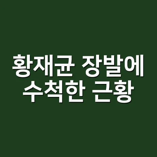황재균 장발에 수척한 근황, 대체 무슨 일이 있었나요? - 요약