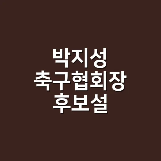 박지성 축구협회장 후보설, 정말 출마할까요? - 요약