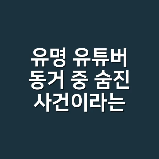 유명 유튜버 ‘동거 중 숨진 사건’이라는 말, 어디까지 사실인가요? - 요약