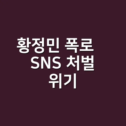 황정민 폭로女 SNS 처벌 위기, 왜 법적 대응까지 번졌을까요? - 요약