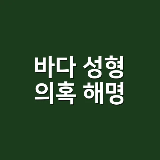 바다 성형 의혹 해명, 풀착장 미모까지 왜 화제인가요? - 요약