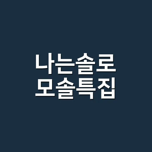 나는솔로 모솔특집, 왜 12기보다 19기가 더 시끄러웠을까요? - 요약