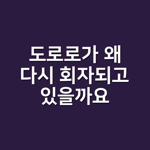 도로로가 왜 다시 회자되고 있을까요? - 요약