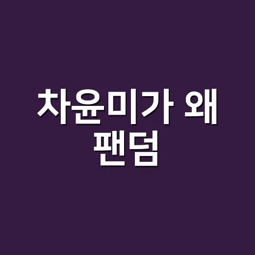 차윤미가 왜 팬덤·웹소설 키워드로 다시 눈에 들어오나요? - 요약