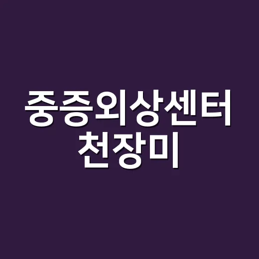 중증외상센터 천장미, 왜 이렇게 팬들이 계속 찾고 있을까요? - 요약