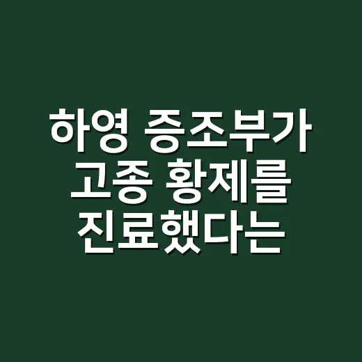 하영 증조부가 고종 황제를 진료했다는 말, 어디까지 확인됐나요? - 요약